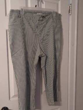 Cato Green/Blue and White Pinstripe Cropped Pants